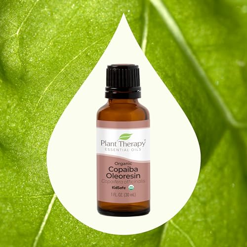 Laurel Leaf Essential Oil - Aromatic Botanical Extract, Versatile for Crafts & Skincare - 30ml