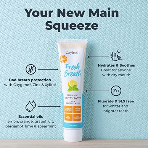 Oxyfresh Toothpaste - Fresh Breath & Clean Teeth, Natural Oils & Xylitol, Fluoride Free - 5oz