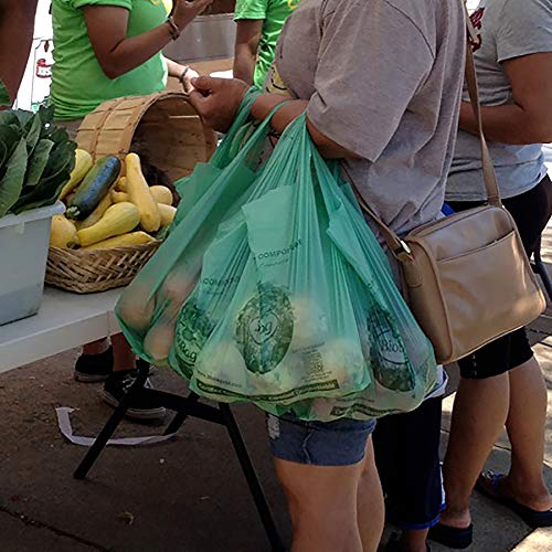 BioBag Compost Bags - 100% Certified Compostable, 12 lb Capacity, 500 Count, 16.1" x 19.7"