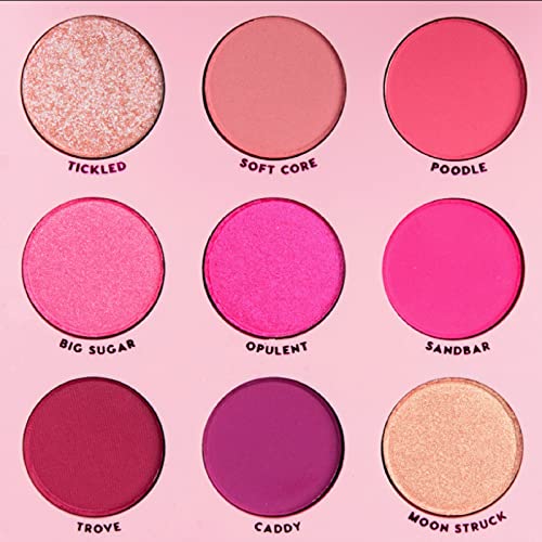 Colourpop Eyeshadow Palette OOH LA LA - Vibrant Pink Shades, Paraben-Free, Travel Size - 0.3oz