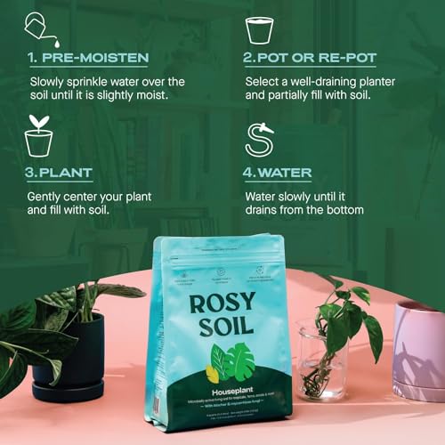 Rosy Soil Succulent & Cactus Potting Mix - Promotes Healthy Root Growth, 8 Quarts Total