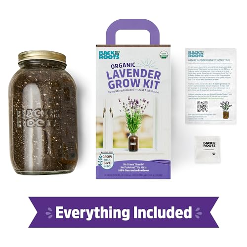 Back to the Roots Lavender Grow Kit - Organic Seeds, Easy Indoor Gardening - Mason Jar Set