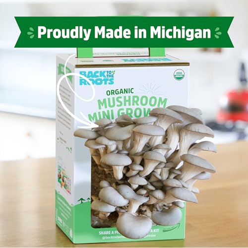 Back to the Roots Mini Mushroom Grow Kit - Organic Harvest in 10 Days, Indoor Gardening - 2 Crops