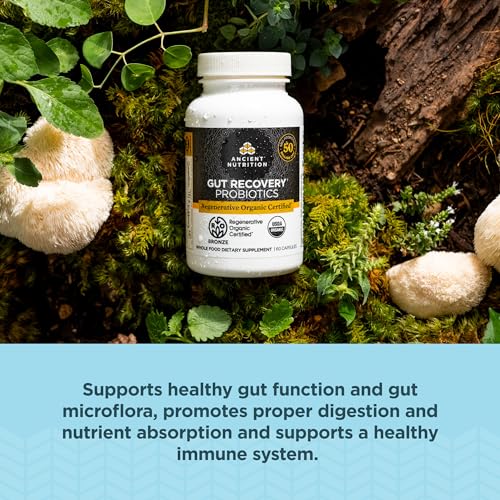 Ancient Nutrition Probiotic - Supports Gut Health & Immune Function, 50 Billion CFUs - 60 Count