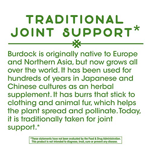 Nature's Way Burdock Root Herbal Supplement - Joint Support, Non-GMO, Vegan - 100 Capsules