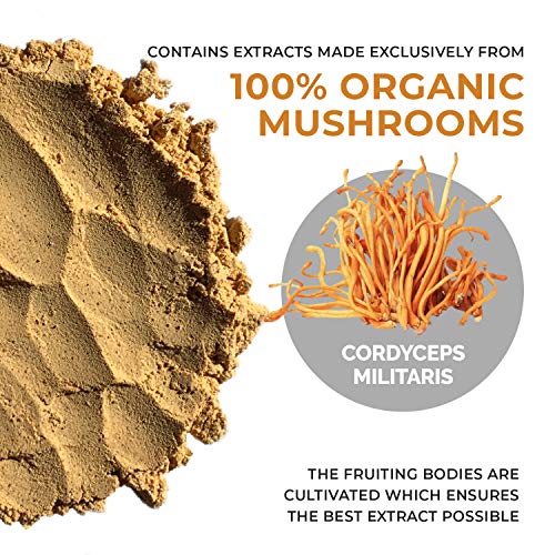 Real Mushrooms Hot Chocolate & Cordyceps Bundle - Energy Boost, Immune Support - 15 Servings