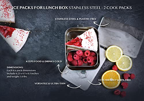 Ecozoi Stainless Steel Lunch Chillers - Keeps Food Cold, BPA-Free, Reusable - 2 Pack