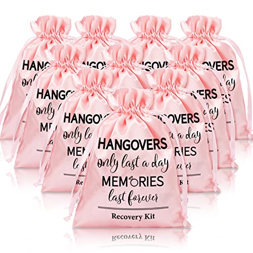 AnyDesign Gift Set for Women - 10 Pink Hangover Recovery Bags, Durable Satin, 6 x 8 Inch