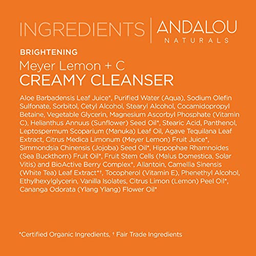 Andalou Naturals Face Cleanser - Brightens Complexion, Renews Skin Vitality - 6oz