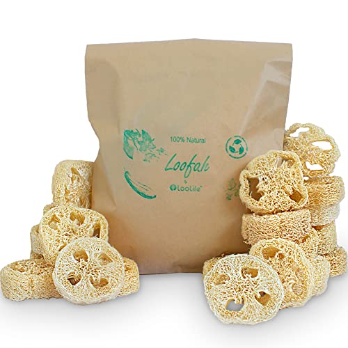 Natural Loofah Sponge Set - Ideal for Soap Making, Biodegradable & Ethically Sourced - 20 Pack