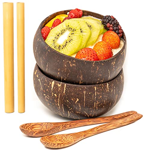 Rainforest Bowls Coconut Bowl Set - Handcrafted, Natural, Reusable Spoons & Straws - 5" Diameter