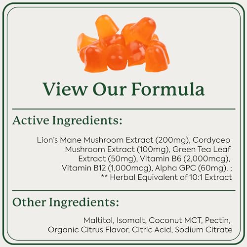 Plant People WonderFocus Mushroom Gummies - Boost Memory, Focus & Energy - 60 Citrus Gummies