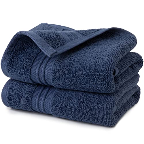 Plush Cotton Hand Towels Set - Soft, Absorbent Oeko-Tex Certified, 500 GSM - 16x28 in, Set of 2