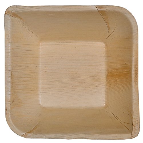 ATMOS GREEN Palm Leaf Dinner Plates - 100% Biodegradable, Heavy Duty, 6-inch - 100 Pack