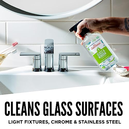 Aunt Fannie's Glass Cleaner - Streak-Free Shine, Natural Ingredients, Hypoallergenic - 16.9oz