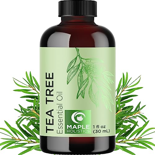 Maple Holistics Pure Tea Tree Essential Oil - Hydrating for Skin, Hair & Nails - 100% Pure