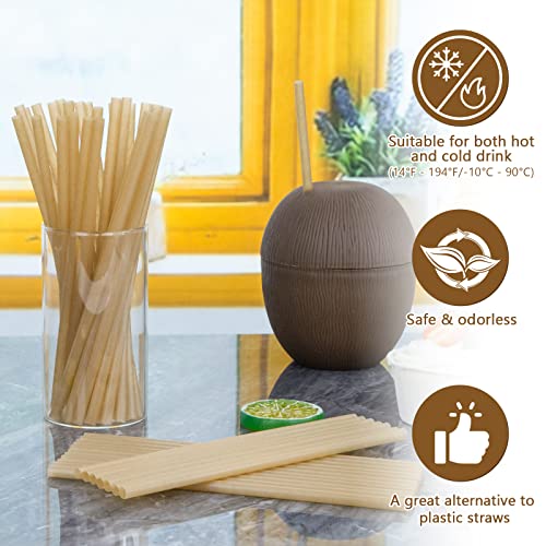 HANSGO Sugarcane Straws - 200 PCS Plastic-Free, Sturdy for Hot & Cold Drinks, 7.8" Long