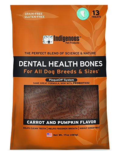 Indigenous Dog Treats - Dental Health, Carrot Pumpkin Flavor, Grain-Free, Made in USA - 12oz