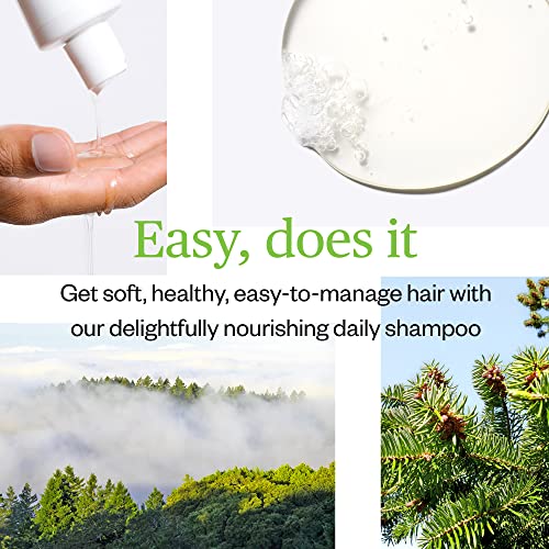 Ursa Major Shampoo - Nourishing, Sulfate-Free, Vegan, Cruelty-Free - 8oz for All Hair Types