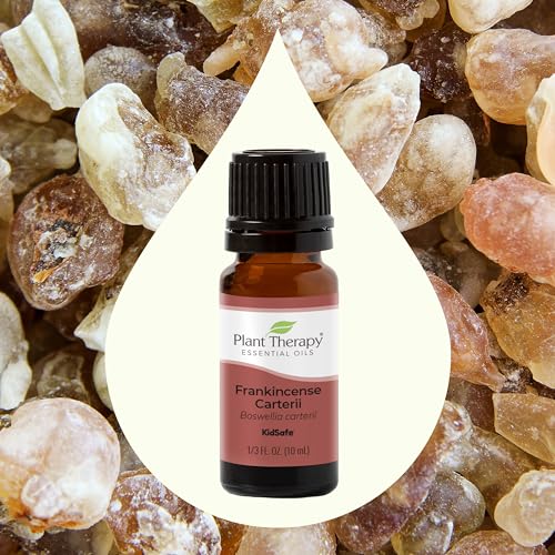 Plant Therapy Frankincense Carteri Essential Oil - Boost Immunity, 100% Pure, 10 mL