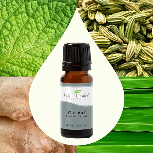 Plant Therapy Gut Aid Essential Oil Blend - Supports Healthy Digestion, Minty Scent - 10 mL