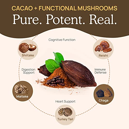 Real Mushrooms Hot Chocolate Mix - Immune Support with 5 Mushroom Extracts, Vegan - 15 Servings