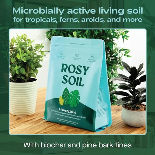 Rosy Soil Succulent & Cactus Potting Mix - Promotes Healthy Root Growth, 8 Quarts Total