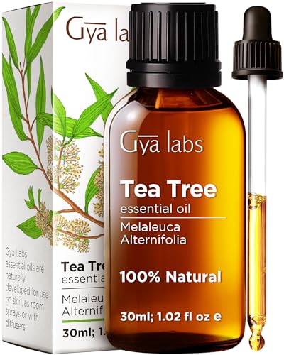 Gya Labs Tea Tree Essential Oil - Natural Skin & Hair Care, Aromatherapy & Nail Health - 1.02 fl oz