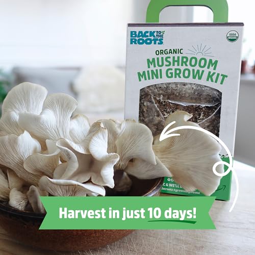 Back to the Roots Mini Mushroom Grow Kit - Organic Harvest in 10 Days, Indoor Gardening - 2 Crops