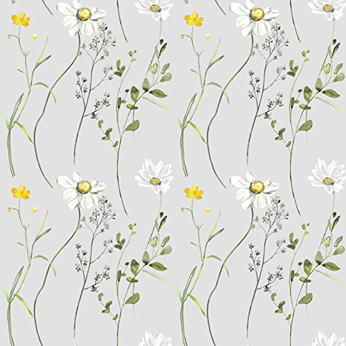 Waterleaf Paper Co. Floral Print Gift Wrap - 100% Dissolvable, Compostable, 18" x 47"