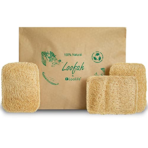 Natural Loofah Kitchen Sponges - Biodegradable, Multi-Purpose, Plastic-Free - 3 Pack