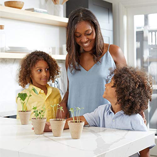 Back to the Roots Kids Plant Grow Kit - Learn Gardening, Organic Seeds, 2pk Bean & Watermelon