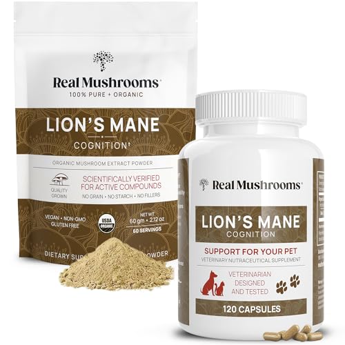 Real Mushrooms Lion's Mane Supplement - Boosts Cognition & Immunity, Vegan, Non-GMO - 60 Servings