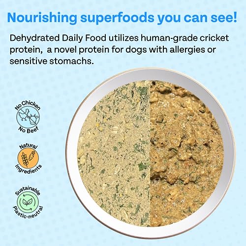 Chippin Dog Food - High Protein, Gut Health Formula, Chicken-Free, Made with Crickets - 10.5 lbs