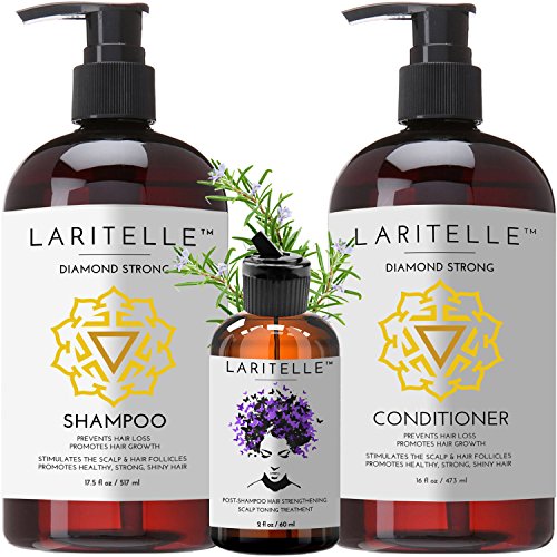 Laritelle Organic Hair Care Set - Prevents Hair Loss & Promotes Growth, Non-Toxic - 12oz