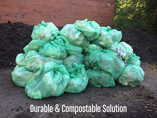 BioBag Compostable Lawn & Leaf Bags - 33 Gallon Capacity, Certified Compostable - 10 Count