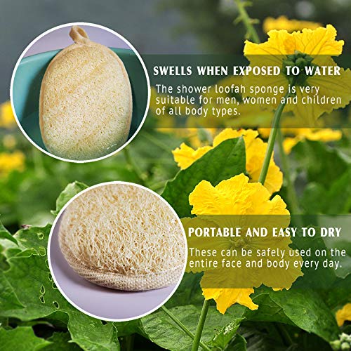 YIQINGJIE Natural Loofah Sponge - Exfoliating Body Scrubber, Promotes Skin Health - 3 Pack