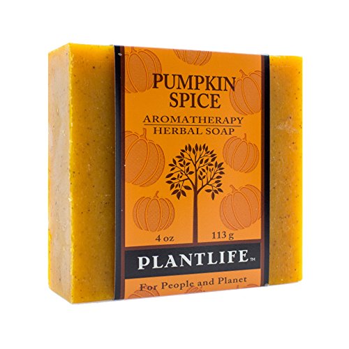 Plantlife Pumpkin Spice Bar Soap - Moisturizing, Hand-Crafted, Plant-Based Ingredients - 4oz