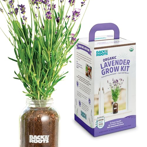 Back to the Roots Lavender Grow Kit - Organic Seeds, Easy Indoor Gardening - Mason Jar Set