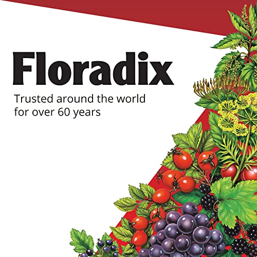 Floradix Liquid Iron Supplement - Promotes Healthy Red Blood Cells, Natural Herbal Extracts - 8.5oz