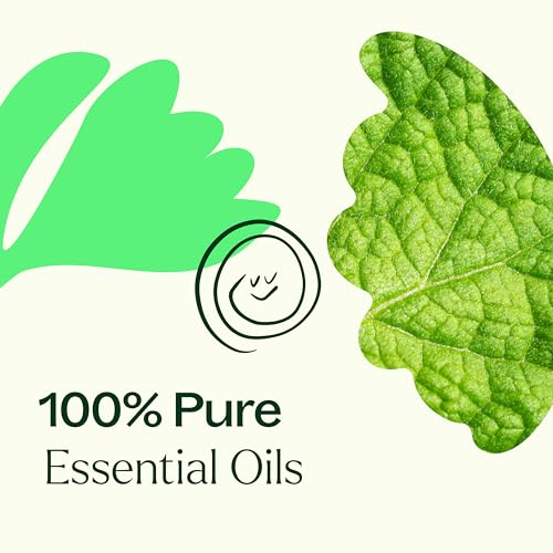 Plant Therapy Gut Aid Essential Oil Blend - Supports Healthy Digestion, Minty Scent - 10 mL