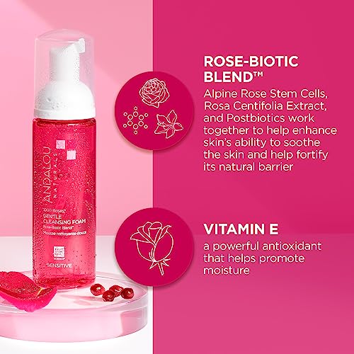 Andalou Naturals Gentle Cleansing Foam - Hydrating Rose-Biotic Blend, Soothes & Protects - 6.7oz