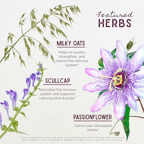 WishGarden Herbs Quiet Time for Kids - Herbal Calming Support with Passionflower, 2oz