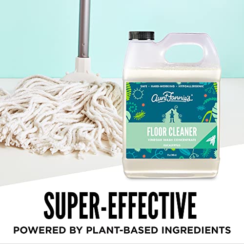 Aunt Fannie's All Purpose Cleaner Bundle - Non-toxic Floor Wash & Biodegradable Wipes - Eucalyptus