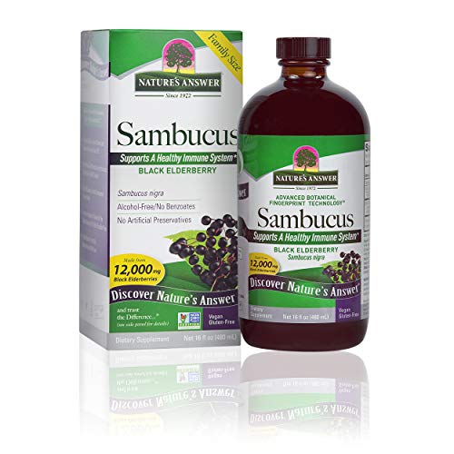 Nature's Answer Elderberry Syrup - Immune Support, Antioxidant-Rich, Vegan - 16oz