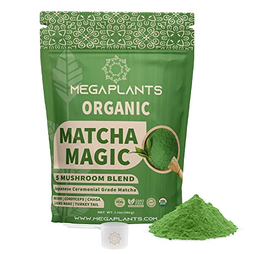 MEGAPLANTS Matcha Magic Superfood - Focus, Clarity & Energy with 5 Mushroom Blend - 50 Servings