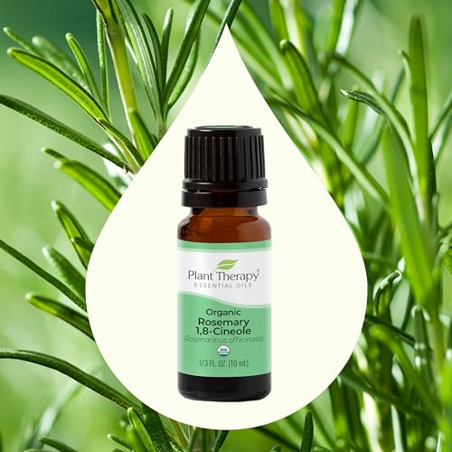 Plant Therapy Organic Rosemary Essential Oil - Boosts Focus, Supports Healthy Hair - 10 mL