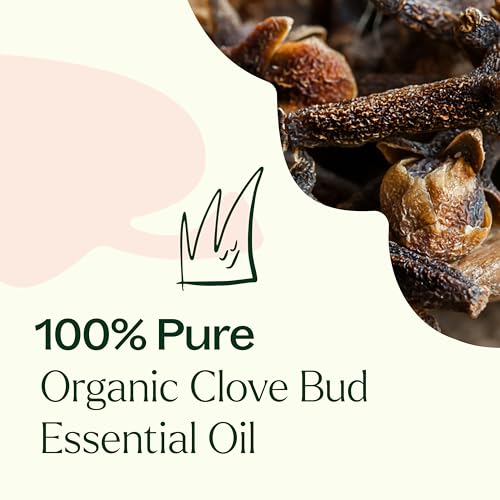 Plant Therapy Organic Clove Bud Essential Oil - 100% Pure, USDA Certified, 10mL