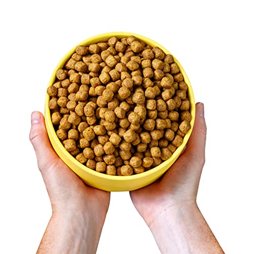 Wild Earth Vegan Dog Food - Complete Nutrition, Allergy Relief, Golden Rotisserie Flavor - 5lbs