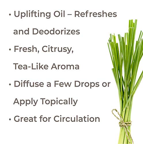 Plant Therapy Lemongrass Essential Oil - Boost Circulation, 100% Pure Therapeutic Grade, 100 mL